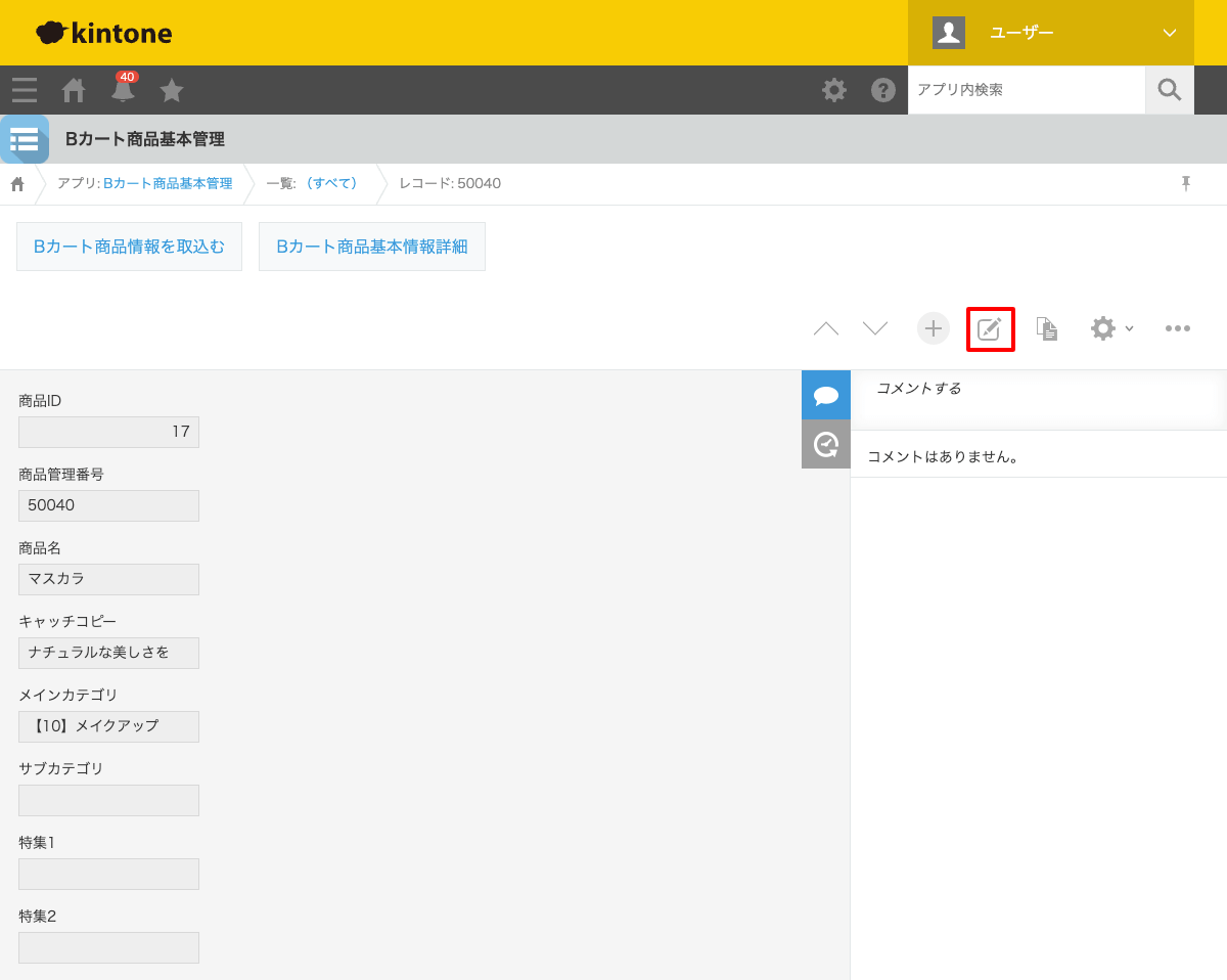レコード編集画面